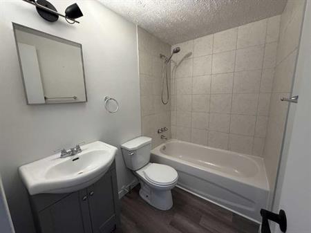 MAGINIFIQUE 3 1/2 - LIBRE IMMÉDIATEMENT - RÉNOVÉ