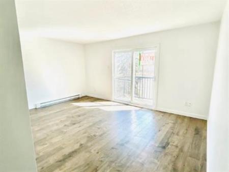 *Chien accepter appartement 4-1/2