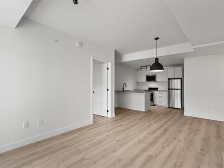 Studio - 1133 Avenue Viger Est, Montréal