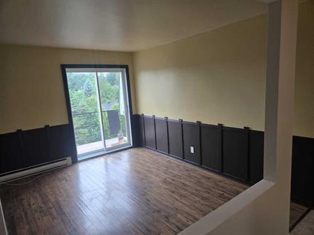 Grand 3 1/2 LIBRE AU 3E PARKING, WIFI ++