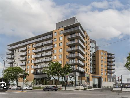 Cession De Bail Appartement 1 Chambre