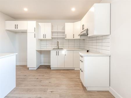 Magnifique 4 1/2 à Louer L'Assomption