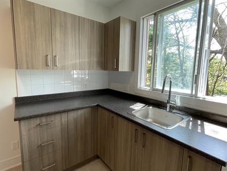 4-1/2 Insonorisé Animaux Acceptés