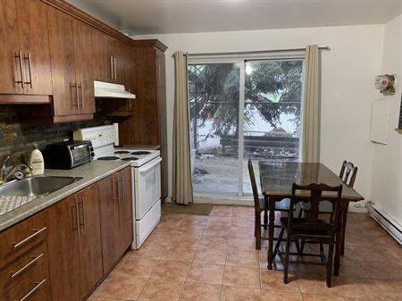 Grand 41/2 Situer Face Au Métro Papineau