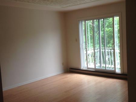 Immense 5 1/2 Lumineux Pres De Tout