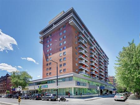 1 Bedroom - 1570 St-Timothée, Montréal