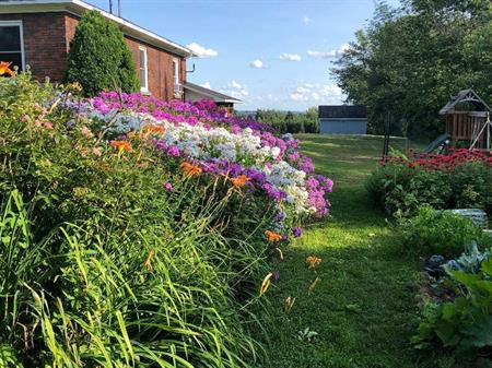 Appartement 3-1/2 à St-Denis de Brompton