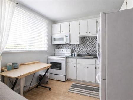 4 ½ LIBRE LE 1ER AVRIL