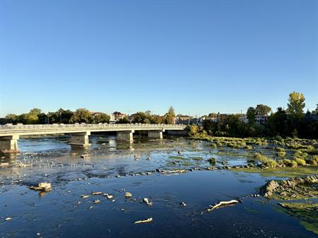 3 ½ à Louer, Beau Secteur!