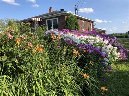 Appartement 3-1/2 à St-Denis De Brompton