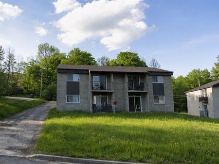 BEAU 4 1/2| FLEURIMONT |JUILLET