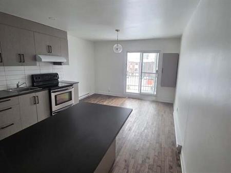 Hochelaga - Beau 3 1/2 Rénové