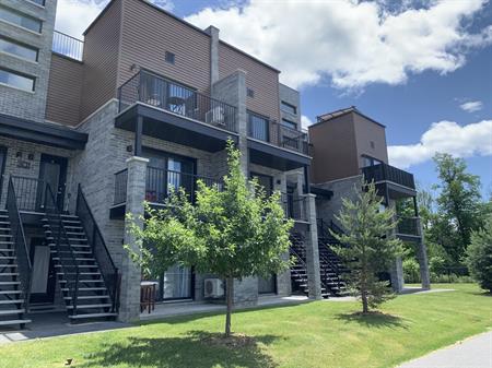 Superbe Appartement Au Plateau!