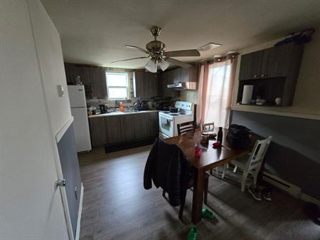 4 1/2 à louer :libre 1er juillet 2026 St-Georges EST