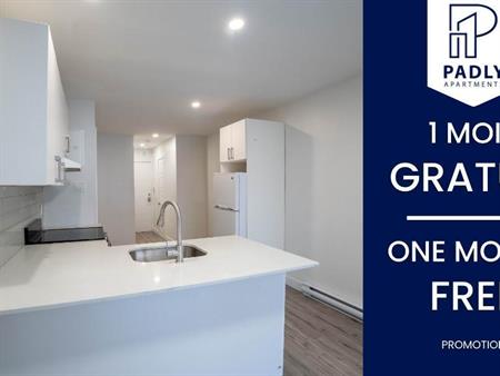 Tout à pied ! Studios modernes Métro Viau 940$/mois à louer Montréal Hochelaga-Maisonneuve/Mercier - appartement / logement