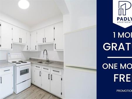 1 MOIS GRATUIT - Moderne & abordable proche de tout à Anjou Montreal - appartement / logement à louer