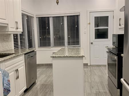 Downtown - Furnished 3 1/2 W. Parking