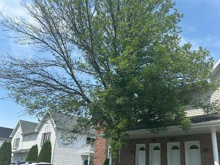 4 1/2 à louer Cap-Rouge