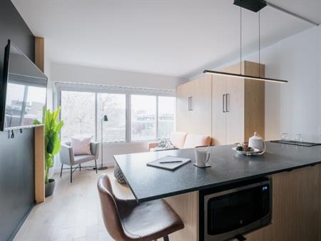 Loft entièrement meublé à louer Saint-Jean-Baptiste août 2026