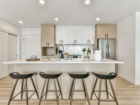 Superbe 4 ½ à Charlemagne