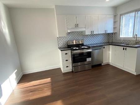Grand 4½ rénové loué avec jardin privé – 5 électroménagers inclus – Rosemont
