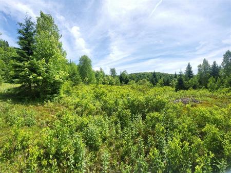 Terrain à vendre à Saint-donat de Montcalm