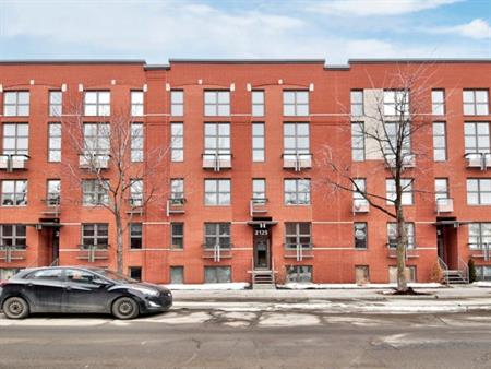Grand 3 1/2 - Hochelaga-Maisonneuve