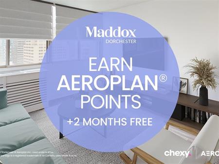 Nuage - 1160 Rue Saint Mathieu, Montréal