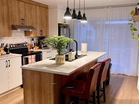 Beau 4 1/2 récent (2023) à louer pour le 1er juillet 2026 ou dès le 1er mai 1 505$ Secteur de La Présentation.