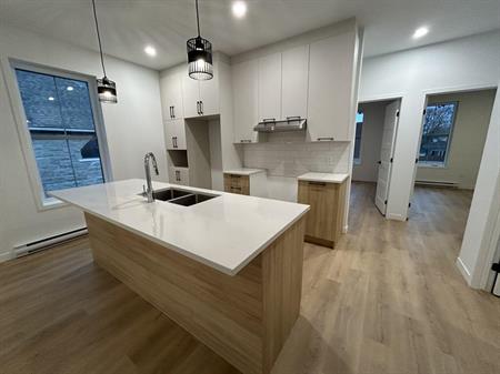 MAGNIFIQUE 5 1/2 - 1er JUILLET - TRIPLEX - 2 STATIONNEMENTS