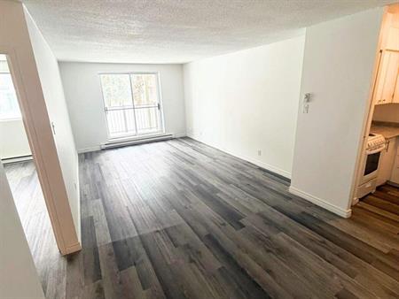 1 CH - 1 SDB - Gatineau - $1,295 /mo
