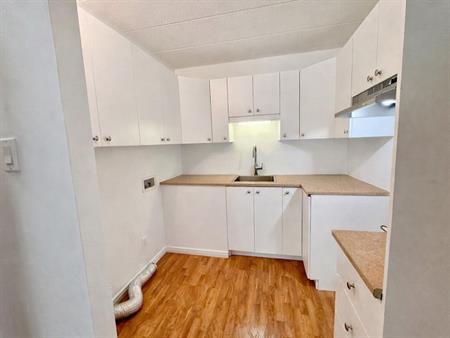 SUPERBE 4 1/2 RÉNOVÉ , GYM - A VOIR!