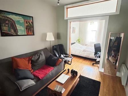 BEL APPARTEMENT COMPLÈTEMENT RÉNOVÉ STYLE LOFT DANS LE SECTEUR LE PLUS RECHERCHÉ DE ROSEMONT