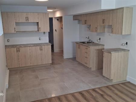 3 1/2 neuf de A à Z, electros, tranquilité et respect