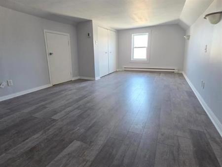 Beau 4 ½ rénové — Libre immédiatement