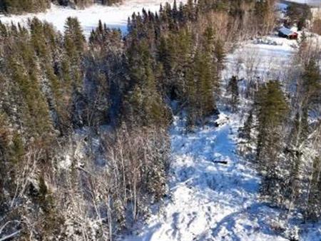 Terrain lac kenogami rue stratus