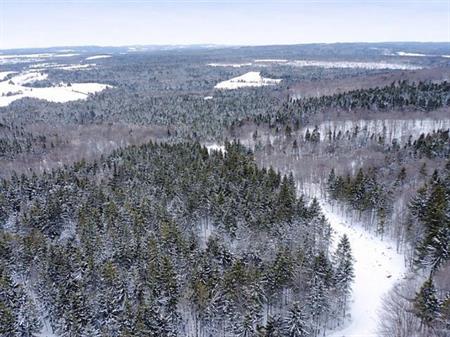 Sacré-cœur-de-Jésus (Chaudière-Appalaches) : Terre à bois de 34 acres, chemin carrossable, chasse, ruisseau, vue imprenable