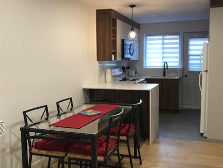 GRAND 4 1/2 MEUBLÉ ET ENTIÈREMENT RÉNOVÉ