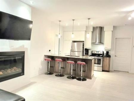 1 Bedroom Modern Apartment in Plateau Gatineau