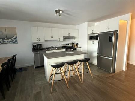 4 1/2 à Louer Au Centre-ville