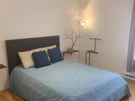 Magnifique 3 ½ a louer