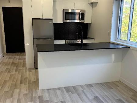 Appartement 1 chambre – 5695 Rue Saint-Jacques – Disponible maintenant