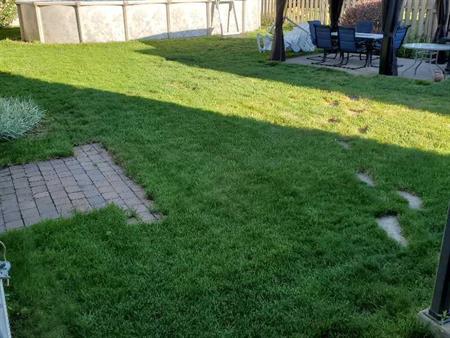 3 ½ avec grande cour privé