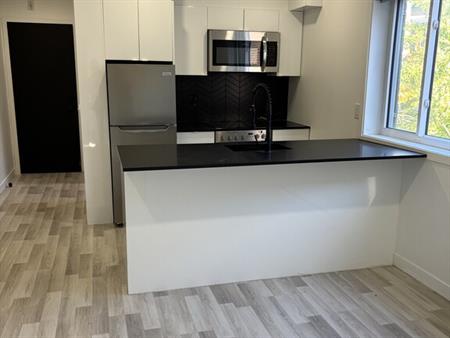 Appartement 1 Chambre