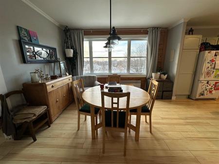 Grand 4 1/2 (duplex tranquille)