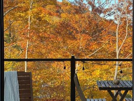 Magnifique 4 et demi en Montagne