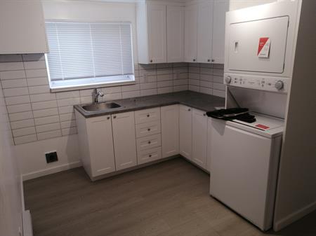 ST LEONARD: STUDIO 2 ½ RÉNOVÉ, BIJOU, 4