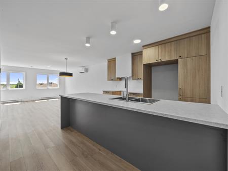 Appartement De 1 Chambre