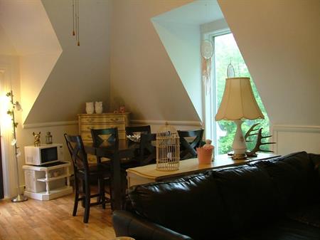 Appartement genre loft semi-meublé