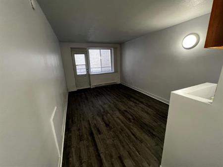 GHETTO MCGILL- STUDIO RENOVÉ & MEUBLÉ- EMPLACEMENT EXCEPTIONNEL